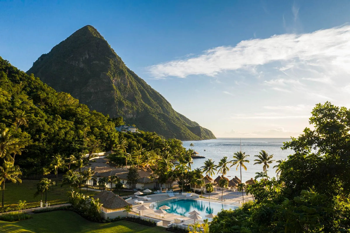 Rainforest and Ocean St Lucia