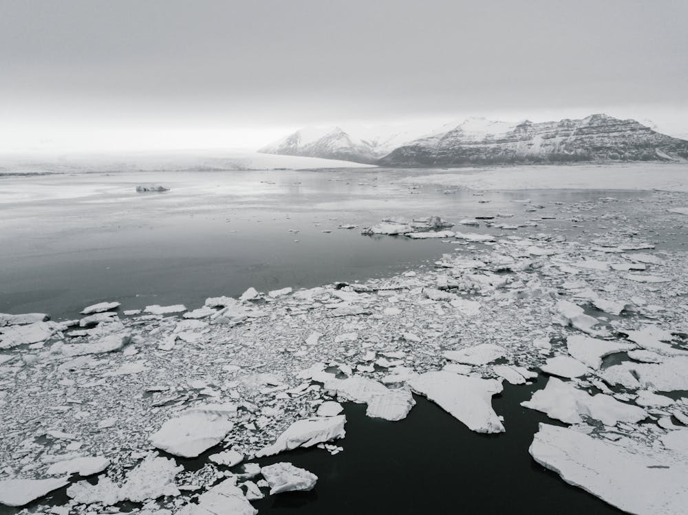 Antarctica the Last Continent