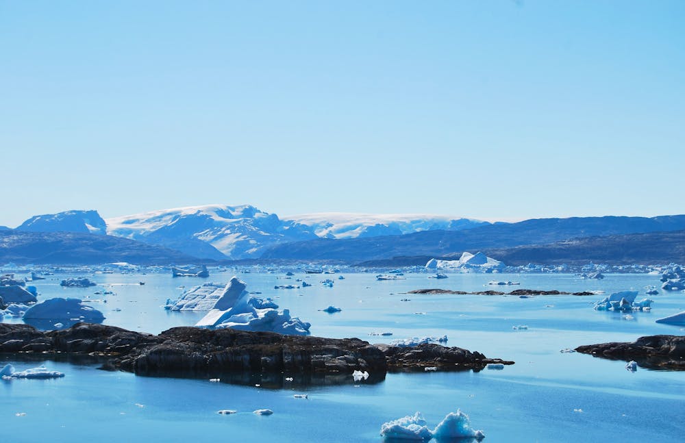 Svalbard and the High Arctic