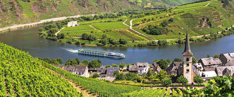 Rhine and Moselle